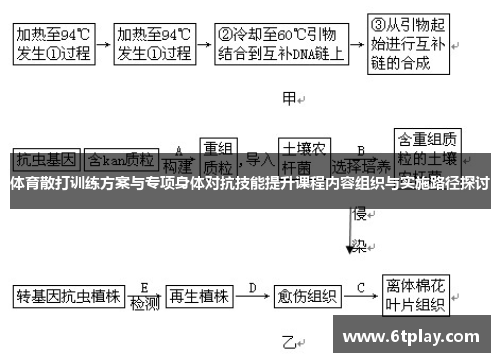 /uploads/images/20250520/ti-yu-san-da-xun-lian-fang-an-yu-zhuan-xiang-shen-ti-dui-kang-ji-neng-ti-sheng-ke-cheng-nei-rong-zu-zhi-yu-shi-shi-lu-jing-tan-tao.webp